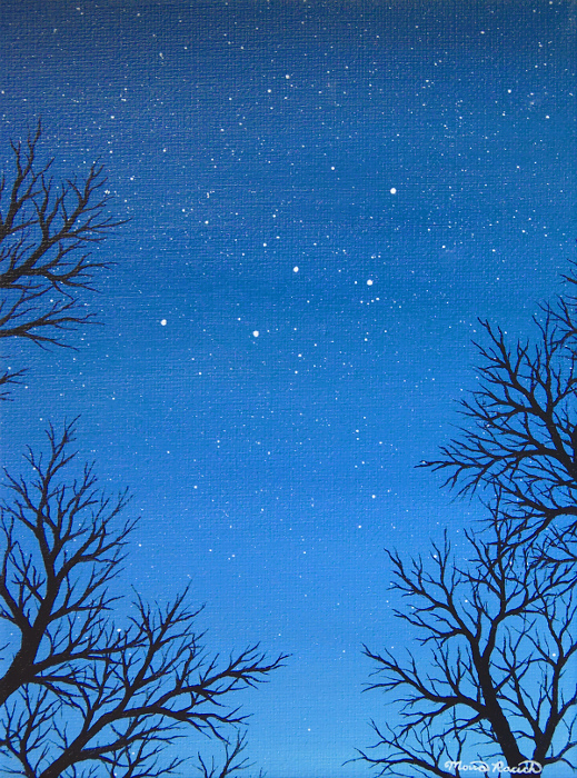 Painting of the constellation Cassiopeia between tree branches