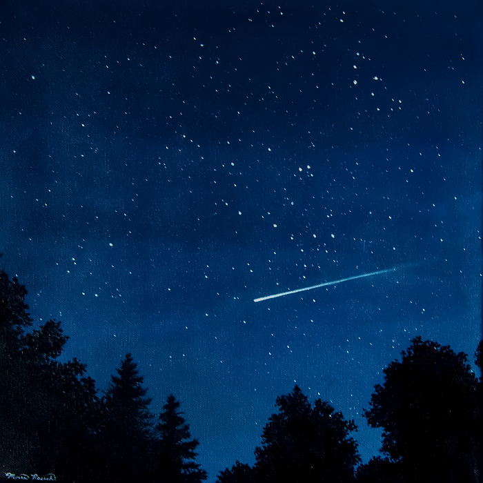Painting of a meteor in the night sky over trees